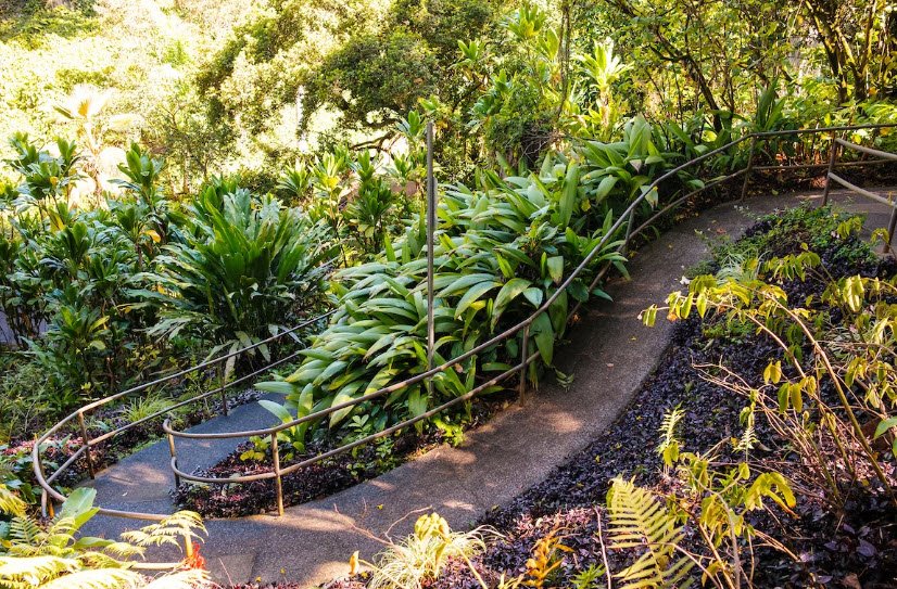 Wahiawa Botanical Garden, United States